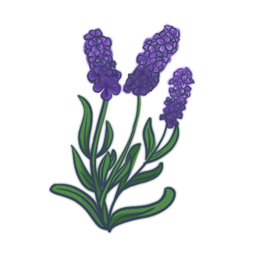 Lavender