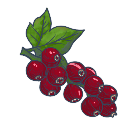 Redcurrant